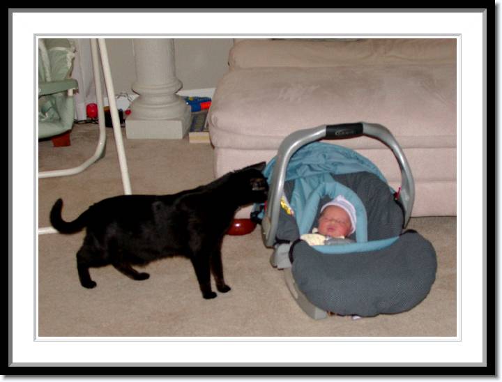 Click for the original image